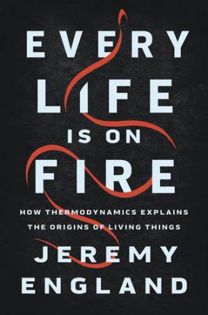 دانلود کتاب Every Life Is on Fire
