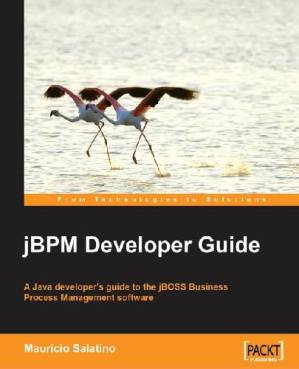 دانلود کتاب jBPM Developer Guide