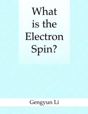 دانلود کتاب What is the Electron Spin