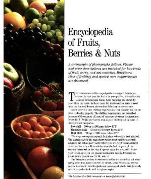دانلود کتاب Encyclopedia of Fruits, Berries and Nuts