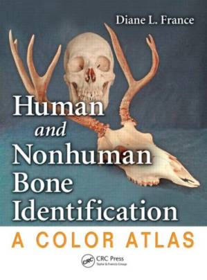 دانلود کتاب Human and Non-Human Bone Identification. A color atlas
