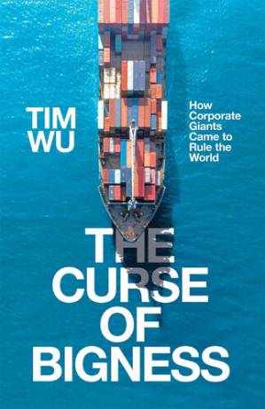 دانلود کتاب The Curse of Bigness
