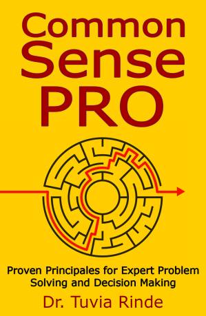 دانلود کتاب Common Sense Pro: Proven Principals for Expert Problem Solving and Decision Making