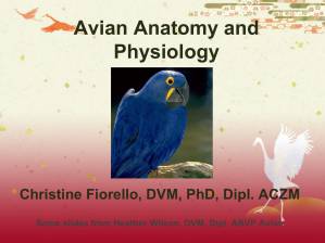 دانلود کتاب Avian Anatomy and Physiology