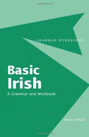 دانلود کتاب Basic Irish: A Grammar and Workbook (Grammar Workbooks)