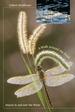 دانلود کتاب A Walk around the Pond: Insects in and over the Water
