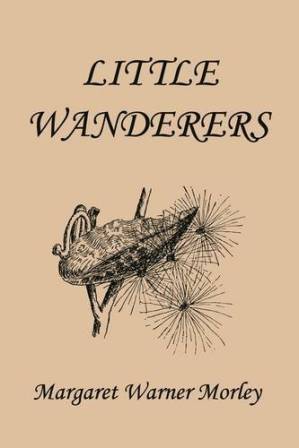 دانلود کتاب Little Wanderers, Illustrated Edition
