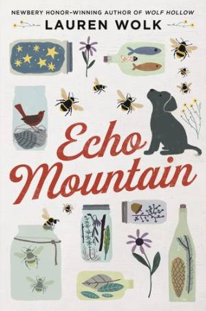 دانلود کتاب Echo Mountain