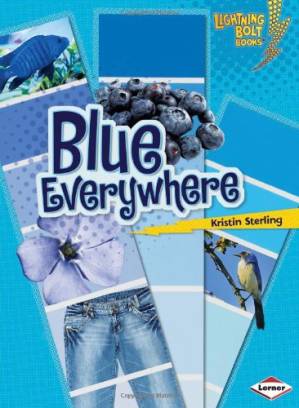دانلود کتاب Blue Everywhere (Lightning Bolt Books – Colors Everywhere)