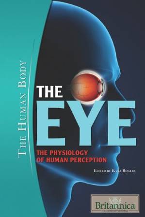 دانلود کتاب The Eye: The Physiology of Human Perception (The Human Body)