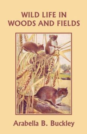دانلود کتاب Eyes and No Eyes #01 – Wild Life in Woods and Fields