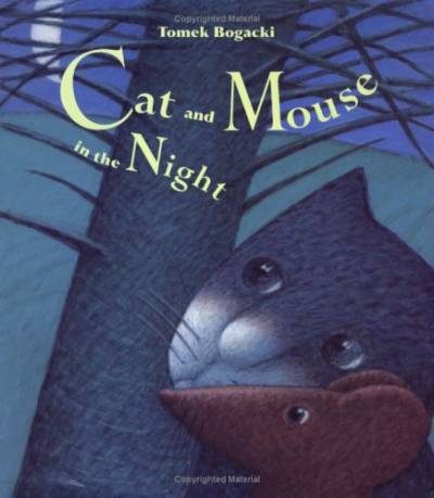 دانلود کتاب Cat and Mouse in the Night (Cat Mouse