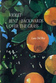 کتاب Violet Bent Backwards Over the Grass