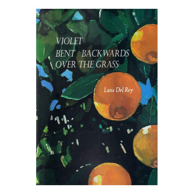 کتاب Violet Bent Backwards Over the Grass اثر لانا دل ری انتشارات آی آی کتاب