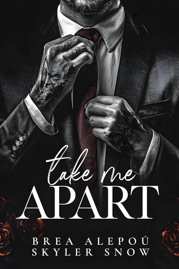 کتاب Take Me Apart(Vitale Brothers Book 1) By Skyler Snow