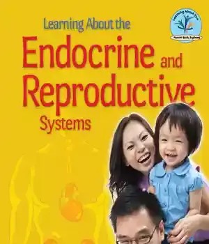 دانلود کتاب Learning about the Endocrine and Reproductive Systems