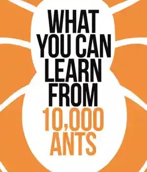 دانلود کتاب What You Can Learn From 10,000 Ants – 10000