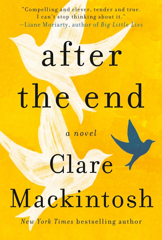 کتاب رمان انگلیسی پس از پایان after the end clare mackintosh