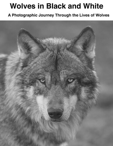 دانلود کتاب Wolves in Black and White: A Photographic Journey Through the Lives of Wolves