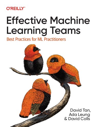 دانلود کتاب Effective Machine Learning Teams: Best Practices for Ml Practitioners
