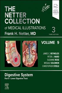 دانلود کتاب The Netter Collection of Medical Illustrations: Digestive System, Volume 9, Part II – Lower Digestive Tract – E-Book