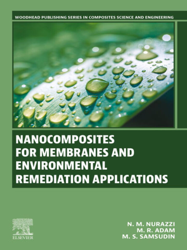 دانلود کتاب Nanocomposites for Membranes and Environmental Remediation Applications