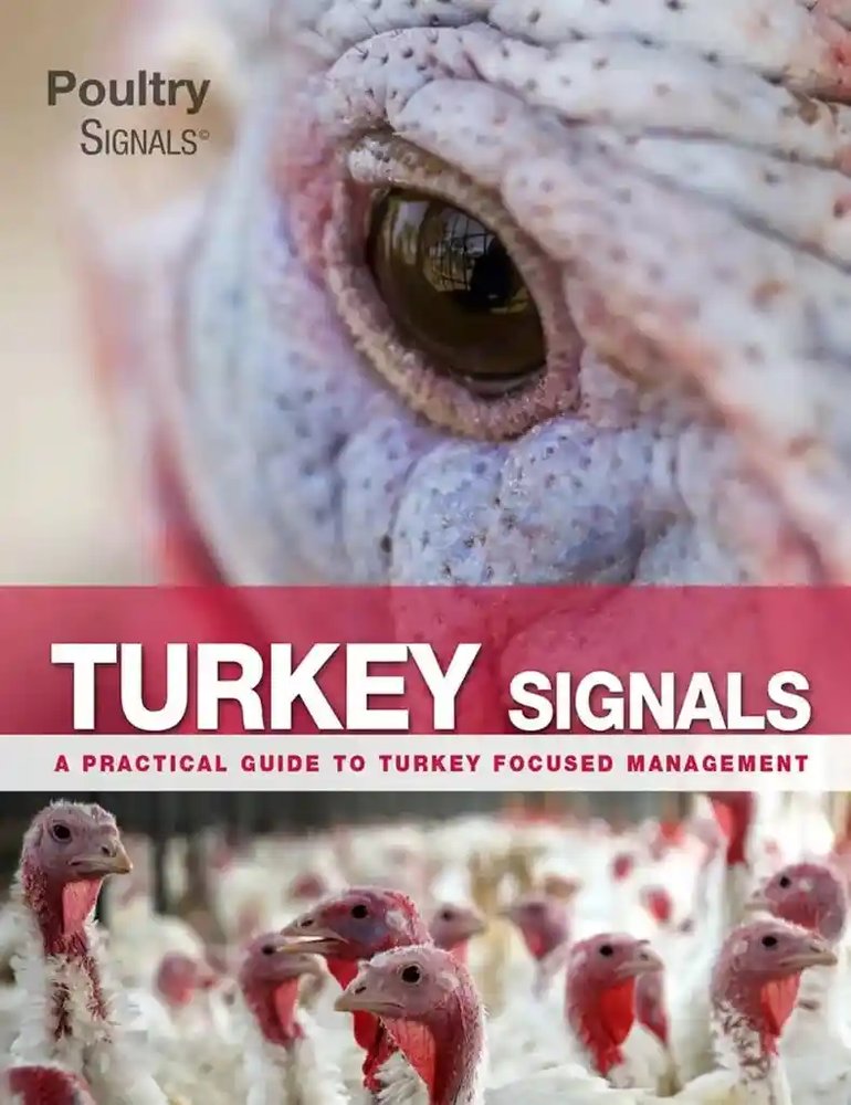 دانلود کتاب Turkey Signals: A Practical Guide to Turkey Focused Management