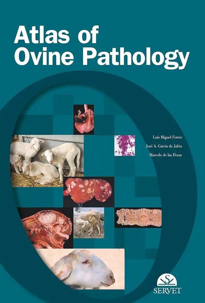 دانلود کتاب Atlas of Ovine Pathology