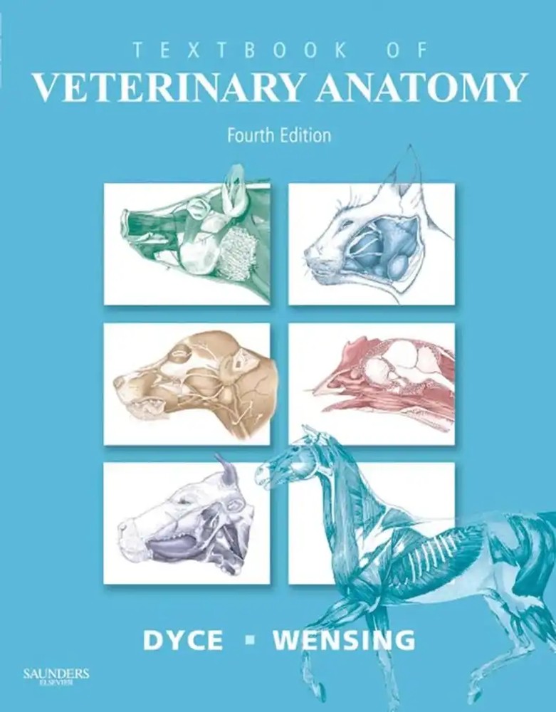 دانلود کتاب Textbook of Veterinary Anatomy, 4th Edition