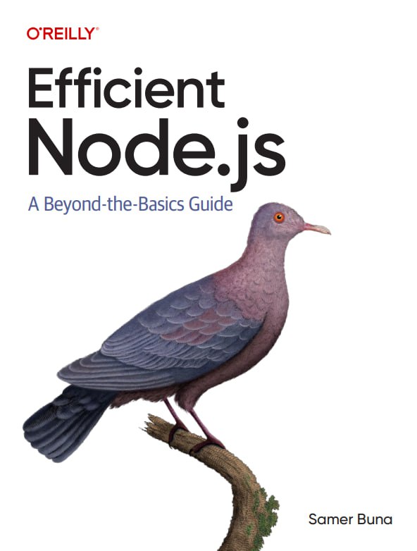 کتاب Efficient Node.js