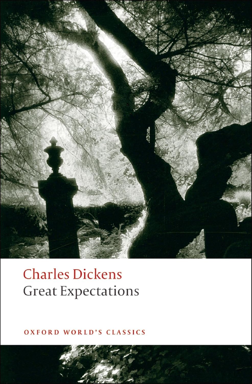 کتاب Great Expectations آرزوهای بزرگ (بدون حذفیات)