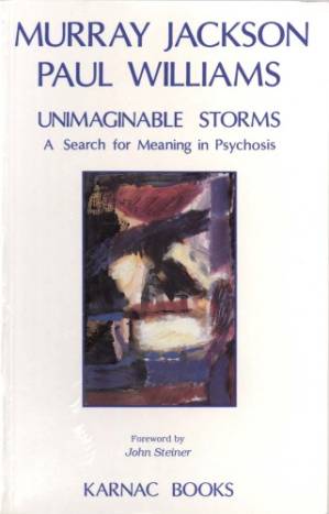 دانلود کتاب Unimaginable storms: A search for meaning in psychosis
