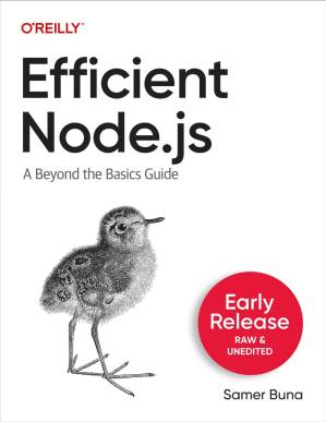دانلود کتاب Efficient Node.js: A Beyond the Basics Guide