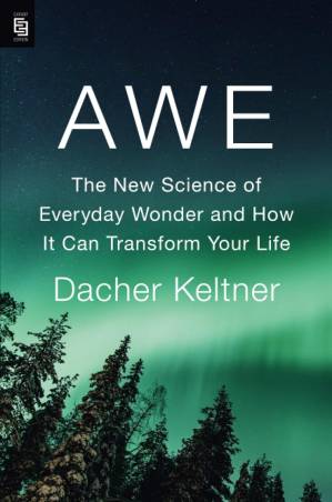 دانلود کتاب Awe: The Transformative Power of Everyday Wonder
