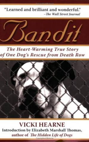 دانلود کتاب Bandit: The Heart-Warming True Story of One Dog’s Rescue from Death Row
