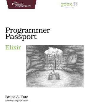 دانلود کتاب Programmer Passport: Elixir