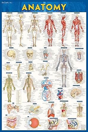 دانلود کتاب Anatomy Test Reference Guide