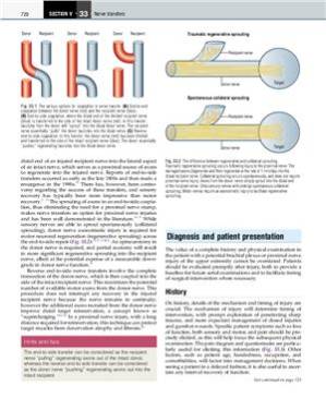 دانلود کتاب Plastic Surgery. Volume 6 Hand. Part 3