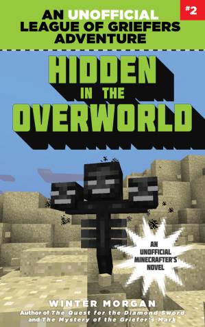 دانلود کتاب Hidden in the Overworld