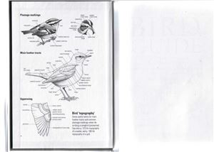 دانلود کتاب Bird Guide