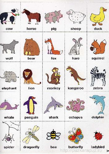دانلود کتاب Animals. Животные
