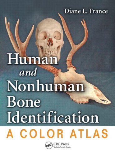 دانلود کتاب Human and Nonhuman Bone Identification: A Color Atlas