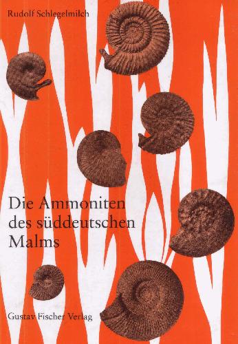 دانلود کتاب Die Ammoniten des suddeutschen Malms. Ein Bestimmungsbuch fur Geowissenschaftler und Fossiliensammler