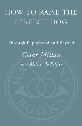 دانلود کتاب Puppyhood: How to Raise the Perfect Dog