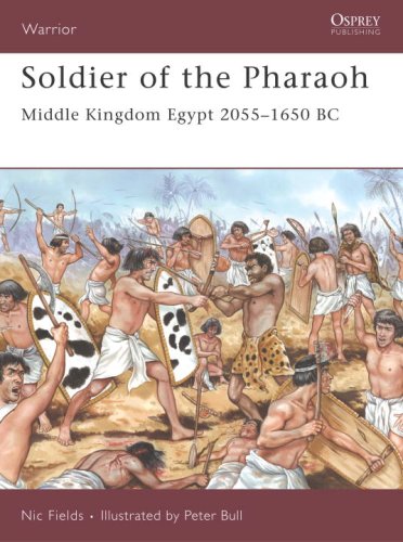 دانلود کتاب Soldier of Pharaoh