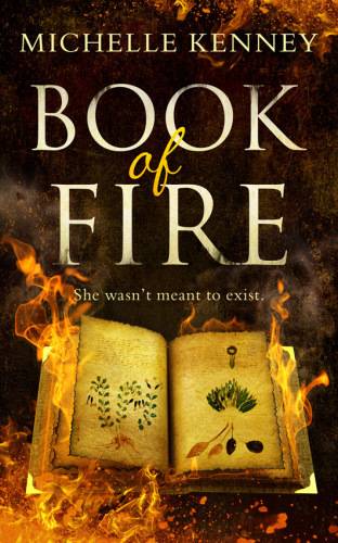 دانلود کتاب Book of Fire