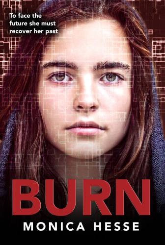 دانلود کتاب Burn