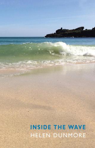دانلود کتاب Inside the Wave