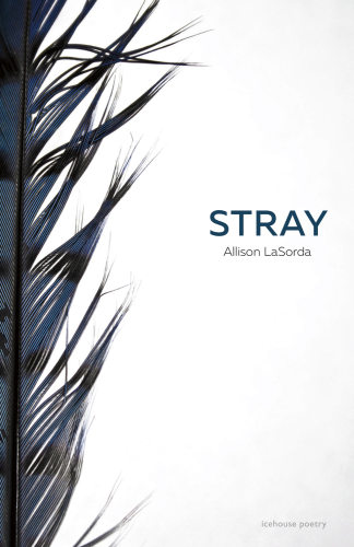 دانلود کتاب Stray
