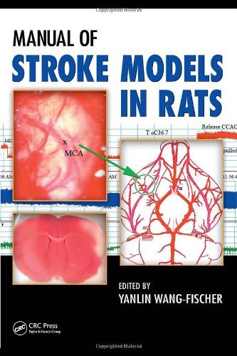 دانلود کتاب Manual of Stroke Models in Rats